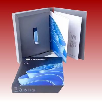 Customized Windows 11 Pro OEM DVD PC DirectX 9 Graphics Windows 11 Pro Disk