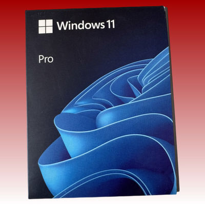 64bit Windows 11 Pro USB-Flashlaufwerk Englisch Online aktiviert Windows 11 Pro USB