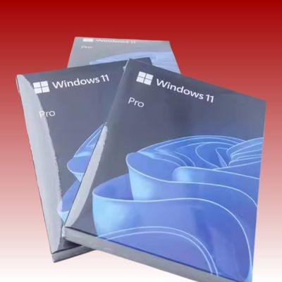 Pre Installed Digital Windows 11 Pro USB Key With Secure And Updated Access