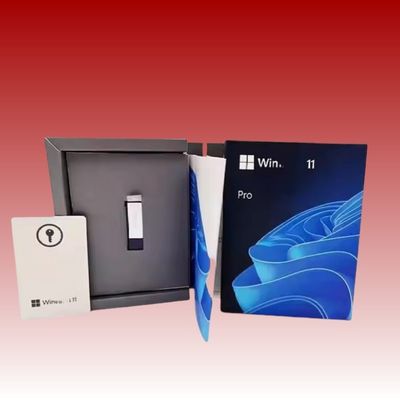 Professional Windows 11 Pro USB High Security With 64GB Hard Drive