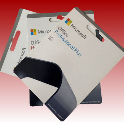 1 TB OneDrive Storage Microsoft Office 2021 Professional Plus Perpetual USB Box