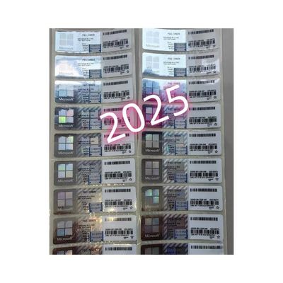 Win10/11 Pro Oem Lizenzschlüssel DVD Online Aktivierung Sliver Etikett für Original Win10/11 Pro Schlüssel Aufkleber 12 Monate Garantie