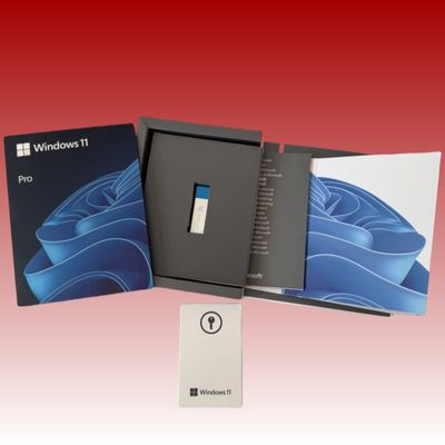 64bit Windows 11 Pro USB-Flashlaufwerk Englisch Online aktiviert Windows 11 Pro USB