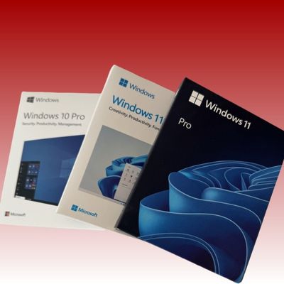 Englische Sprache Win11 Pro USB OEM Lizenz mit virtuellem Desktop-Zugriff