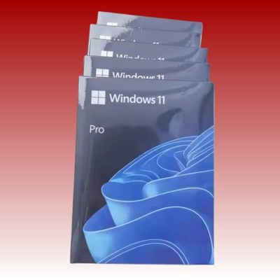 20 GB Festplatte Windows 11 Pro USB Box mit Windows Defender Antivirus