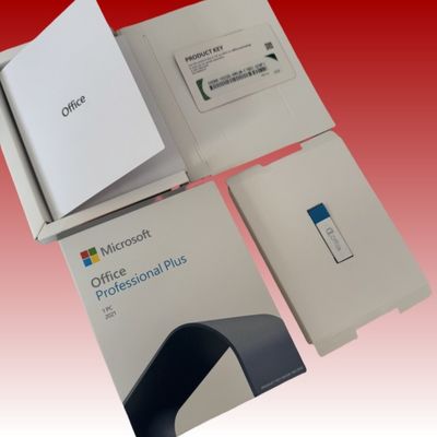 Individuals Microsoft Office Professional Plus 2021 DVD English License For Windows