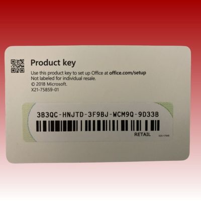 OEM Usa Vertify Office 2019 Professional Plus Bind Online Activation Office 19 Professional Plus